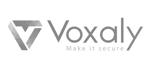 voxaly-logo